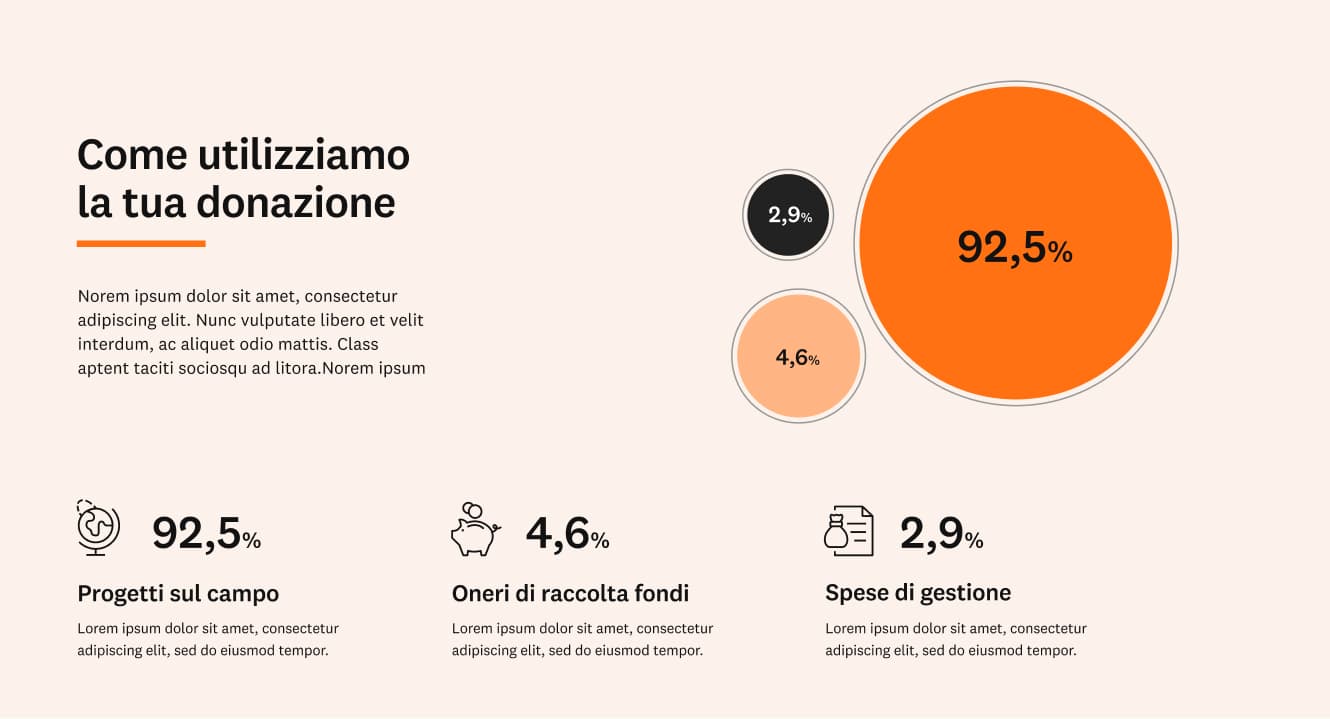 Esempio di fascia "Come utilizziamo la donazione" con grafico, testi e icone personalizzate